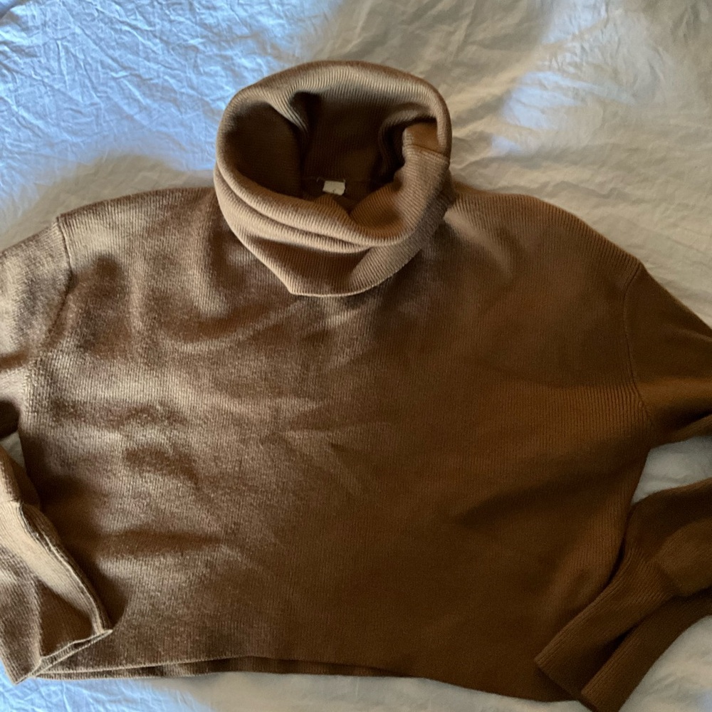 Elegant Tan Turtleneck Sweater